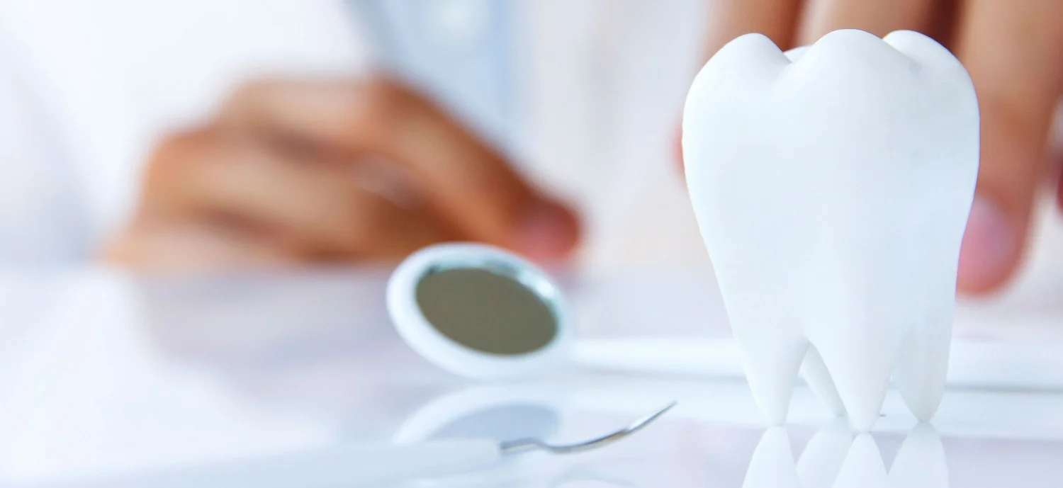 Close-up of a tooth model and dental mirror on a counter at Jimmy Lau DDS